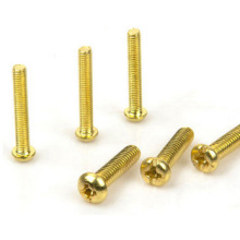 Brass Screw/ Fastener / Hardware / Spare Parts / Bolt